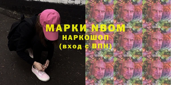 индика Коряжма