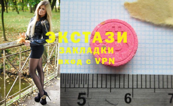 индика Коряжма