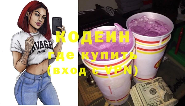 индика Коряжма