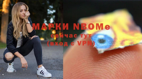 индика Коряжма