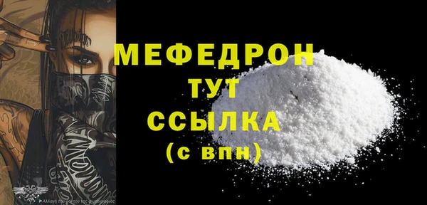 индика Коряжма